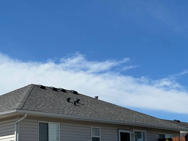 Best Roof Ventilation Installation  in , WV